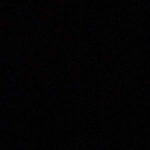 Meet your Posher, Freddie